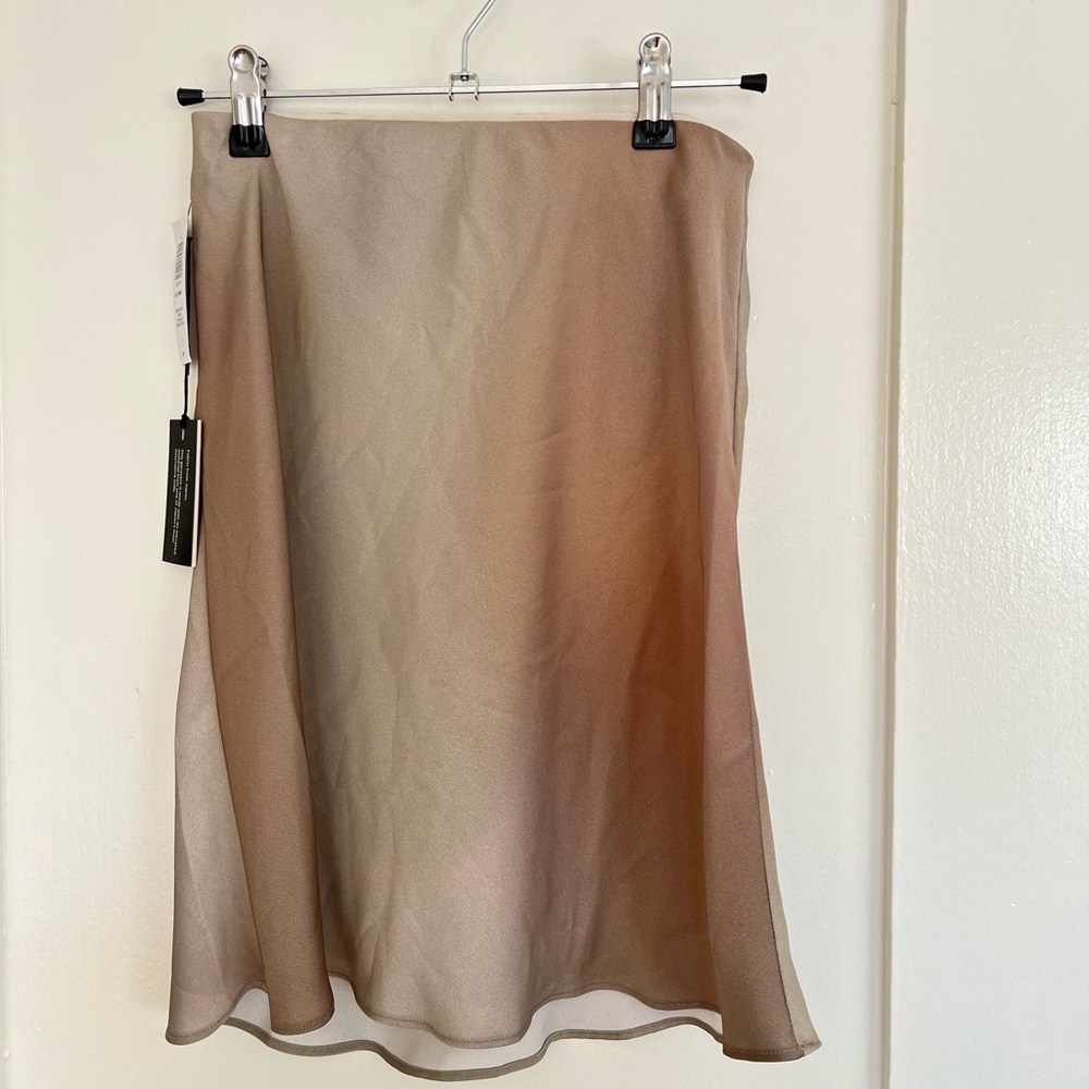 SOLD PLEASE DO NOT PURCHASE Babaton Ombré Birch Slip Skirt - Picture 4 of 4